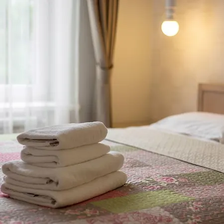 Luxury & Spacious Old Town Apartment *