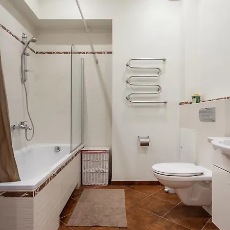 Luxury & Spacious Old Town Wilna