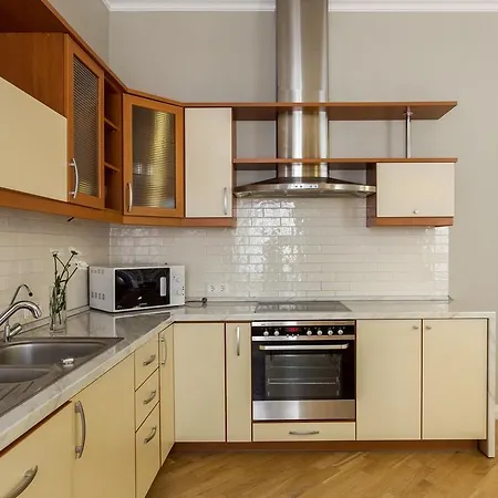 Luxury & Spacious Old Town Wilna